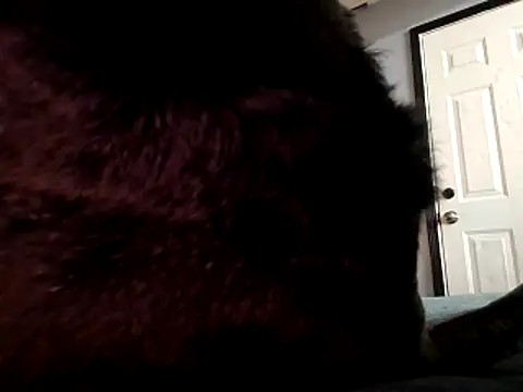 Snapshot of DevinToore chatting on 10.29.25 DevinToore online show from 10.29.25