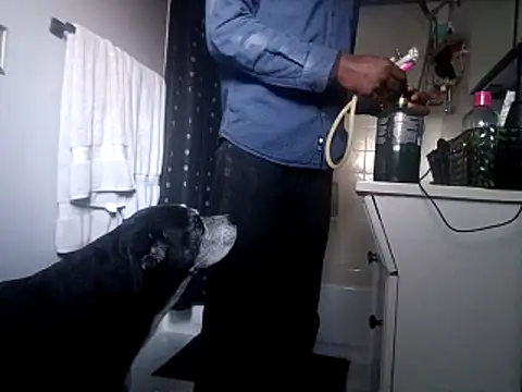 Snapshot of DevinToore chatting on 10.31.25 DevinToore online show from 10.31.25