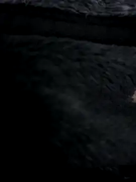 MetalJoint2 online show from 11.30.25