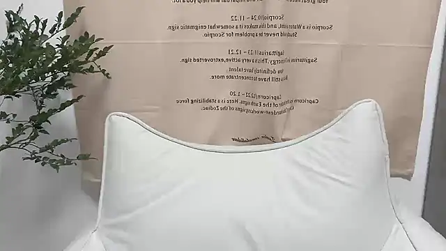 Snapshot of Arrebo1 chatting on 12.04.24 Arrebo1 online show from 12.04.24