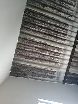 Snapshot of putoso031 chatting on 02.23.25 putoso031 online show from 02.23.25