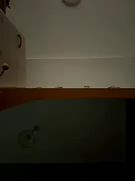 Snapshot of Lecatore80 chatting on 11.09.25 Lecatore80 online show from 11.09.25