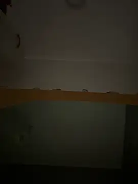 Snapshot of Lecatore80 chatting on 11.16.25 Lecatore80 online show from 11.16.25