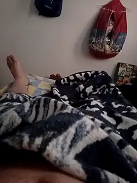 gato- online show from 01.01.25