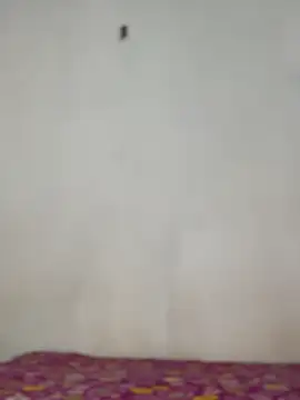 Nicole cute1 online show from 11.30.25