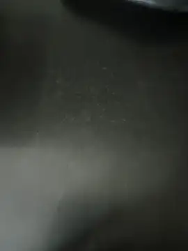 Anamika Kapoor online show from 01.16.26