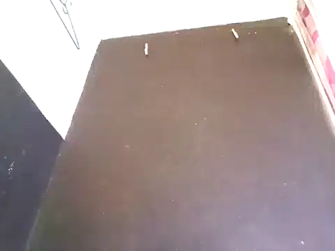 Loggan donnelly online show from 10.29.25