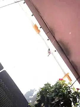 Snapshot of Praga_Pink chatting on 12.11.24 Praga Pink online show from 12.11.24