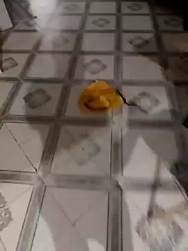 picatorta19 online show from 01.11.25