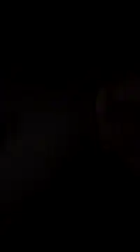 hoot denis28 online show from 12.07.24