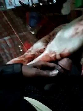 Antor1234 online show from 12.15.24