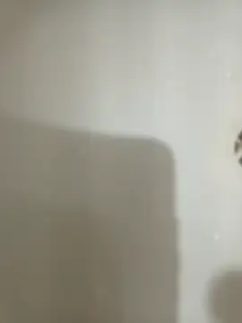 1995eduardo online show from 02.17.25