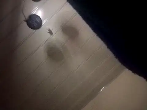 giuliana andrade online show from 12.07.24