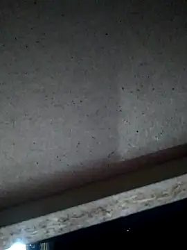 Leocesar37 online show from 11.15.25