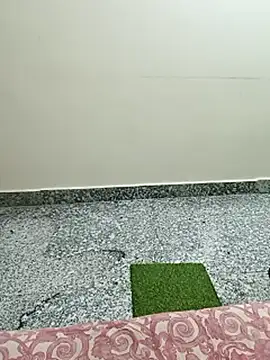 Snapshot of Saroj-Shah chatting on 03.10.26 Saroj-Shah online show from 03.10.26