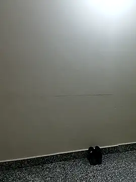 Snapshot of Saroj-Shah chatting on 04.02.26 Saroj-Shah online show from 04.02.26