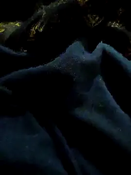 pusssyhub online show from 11.29.25