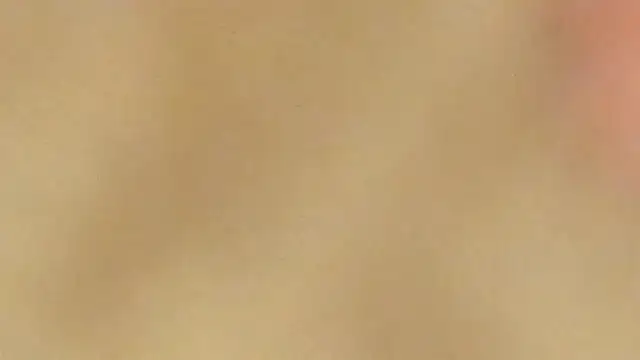 AraCopple online show from 12.31.24