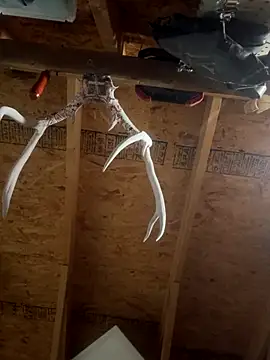 Snapshot of dcockell chatting on 10.23.25 dcockell online show from 10.23.25