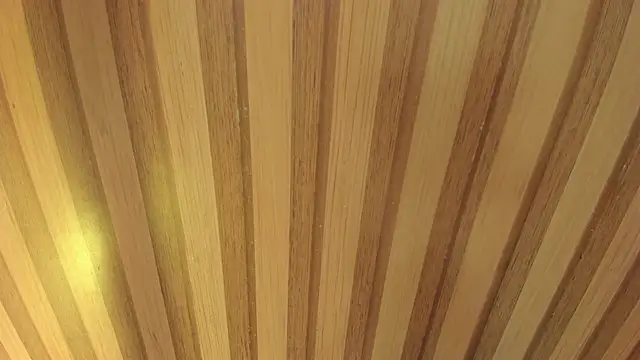 Taylor  cooper online show from 04.18.26