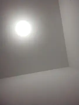 Snapshot of barboza991 chatting on 12.28.24 barboza991 online show from 12.28.24