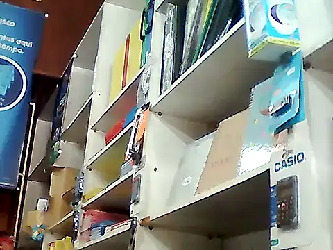 Snapshot of barboza991 chatting on 10.29.25 barboza991 online show from 10.29.25