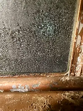 alienbunny online show from 01.11.25