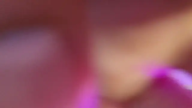 haileycat online show from 09.17.25