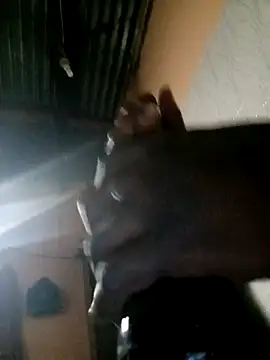 TastyAfrica online show from 02.10.26