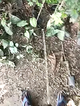 desicockblack online show from 12.03.24