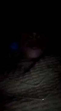 Snapshot of maftel chatting on 02.19.25 maftel online show from 02.19.25