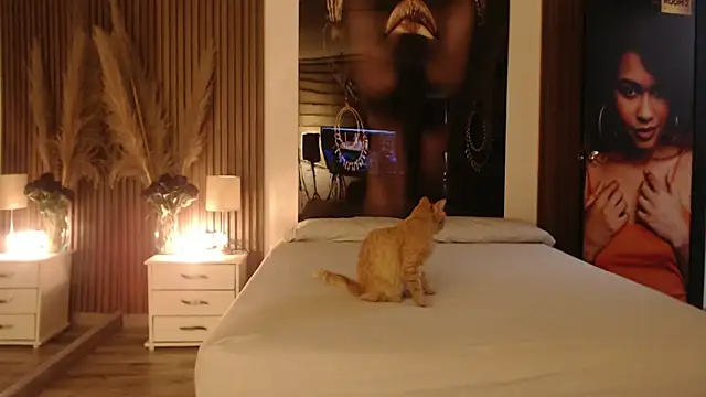 Sam mansson66 online show from 11.14.25