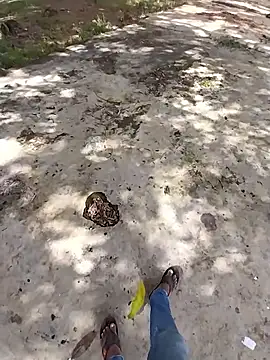 sudhastriper online show from 10.26.25