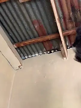 SEXY TOKYOxxx online show from 10.22.25