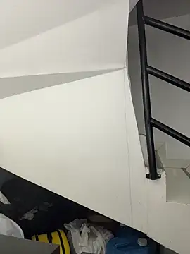 Snapshot of Annie9_ chatting on 11.29.25 Annie9 online show from 11.29.25