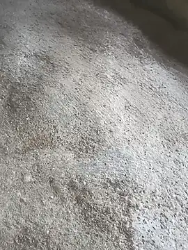 SisterlyFarmhand online show from 10.12.25