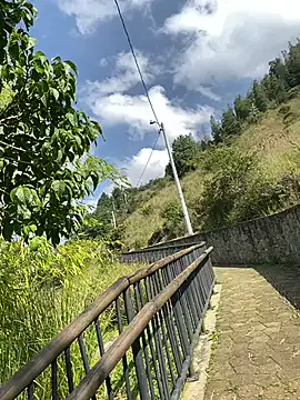 ElNegroRony online show from 12.09.24