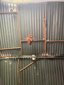 ElNegroRony online show from 04.02.26