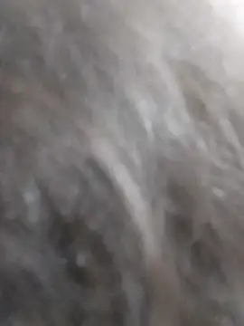 kobita Mohali online show from 09.14.25