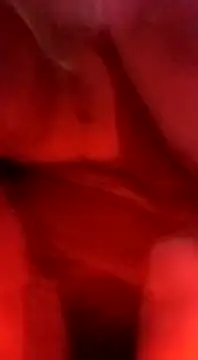 sosarax online show from 02.05.25