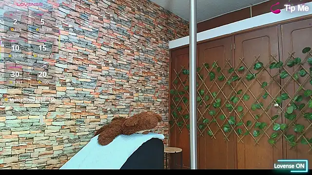 Snapshot of couple_lovelyds chatting on 12.02.25 couple lovelyds online show from 12.02.25