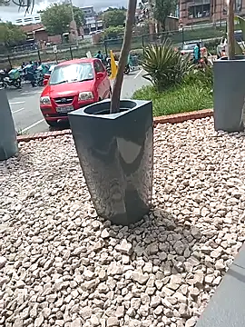 Snapshot of Lexwelll chatting on 03.16.25 Lexwelll online show from 03.16.25