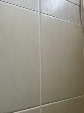 Majorcumlive online show from 06.13.26