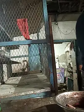 Snapshot of Skinny_Bigass_23 chatting on 02.10.25 Skinny Bigass 23 online show from 02.10.25