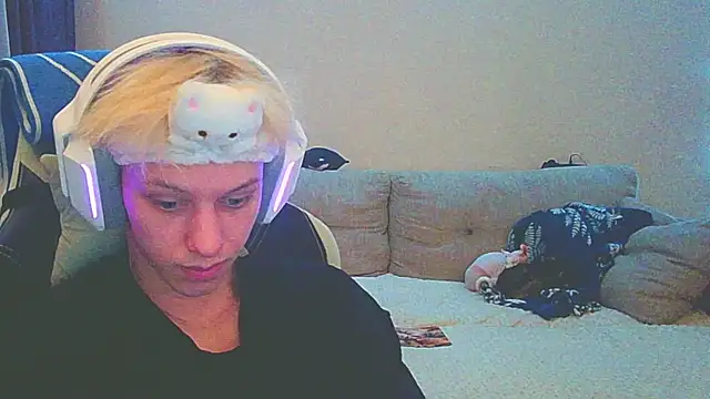 Ostin meow online show from 12.14.24