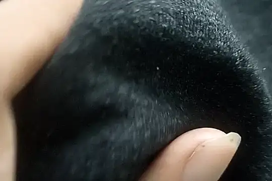 Snapshot of Telugu_sollakaya chatting on 12.02.24 Telugu sollakaya online show from 12.02.24