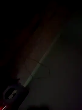 imissyoumylove14 online show from 01.21.25