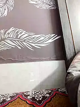 shalini fire online show from 02.01.25