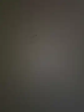 krishking1117 online show from 12.17.24