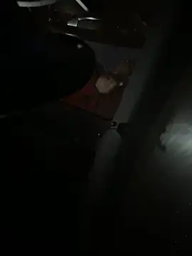 Mustafa-231 online show from 11.29.25